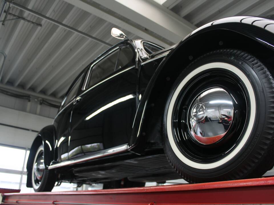 Image 7/50 of Volkswagen Beetle 1200 Standard "Oval" (1955)