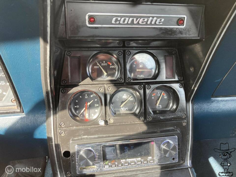 Afbeelding 13/50 van Chevrolet Corvette Sting Ray (1979)