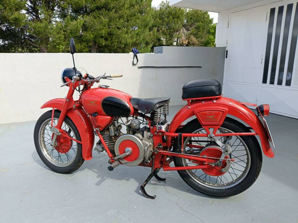 Afbeelding 6/42 van Moto Guzzi DUMMY (1960)