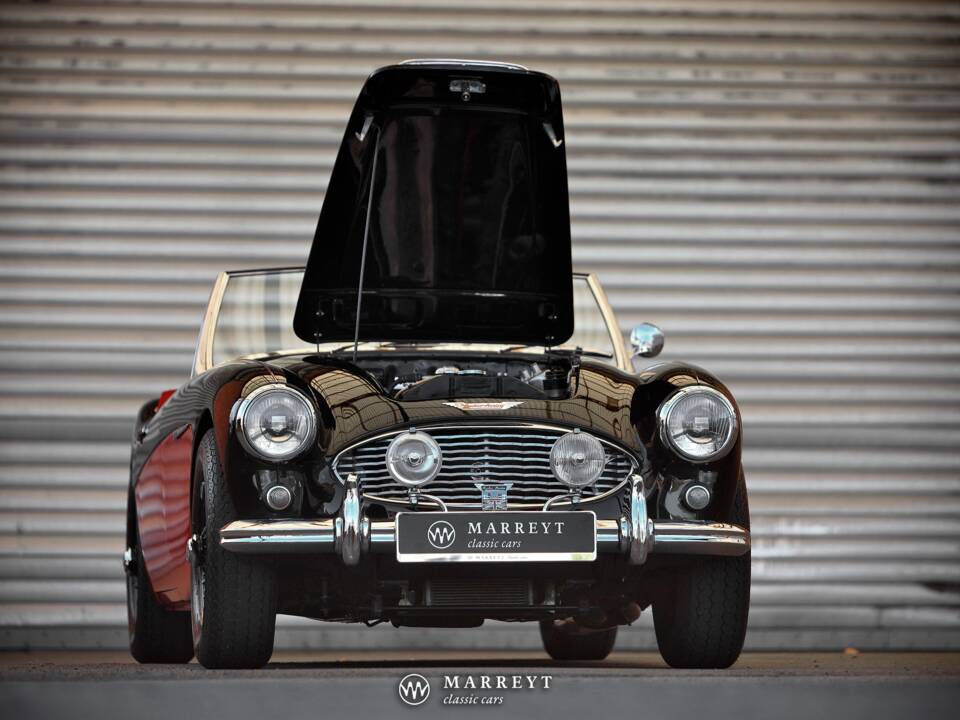 Immagine 19/68 di Austin-Healey 3000 Mk I (BT7) (1959)