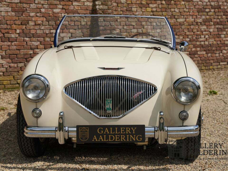 Immagine 5/50 di Austin-Healey 100/4 (BN1) (1954)