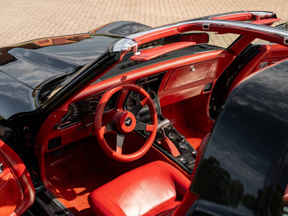 Immagine 18/42 di Chevrolet Corvette Sting Ray (1980)