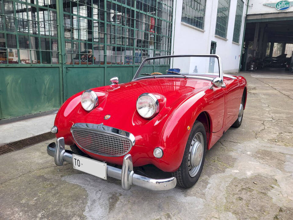 Image 5/51 of Austin-Healey Sprite Mk I (1960)