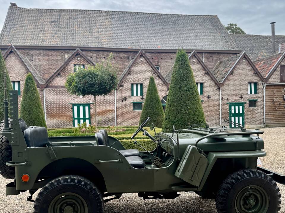 Immagine 7/20 di Jeep Willys-Overland CJ-3A (1950)