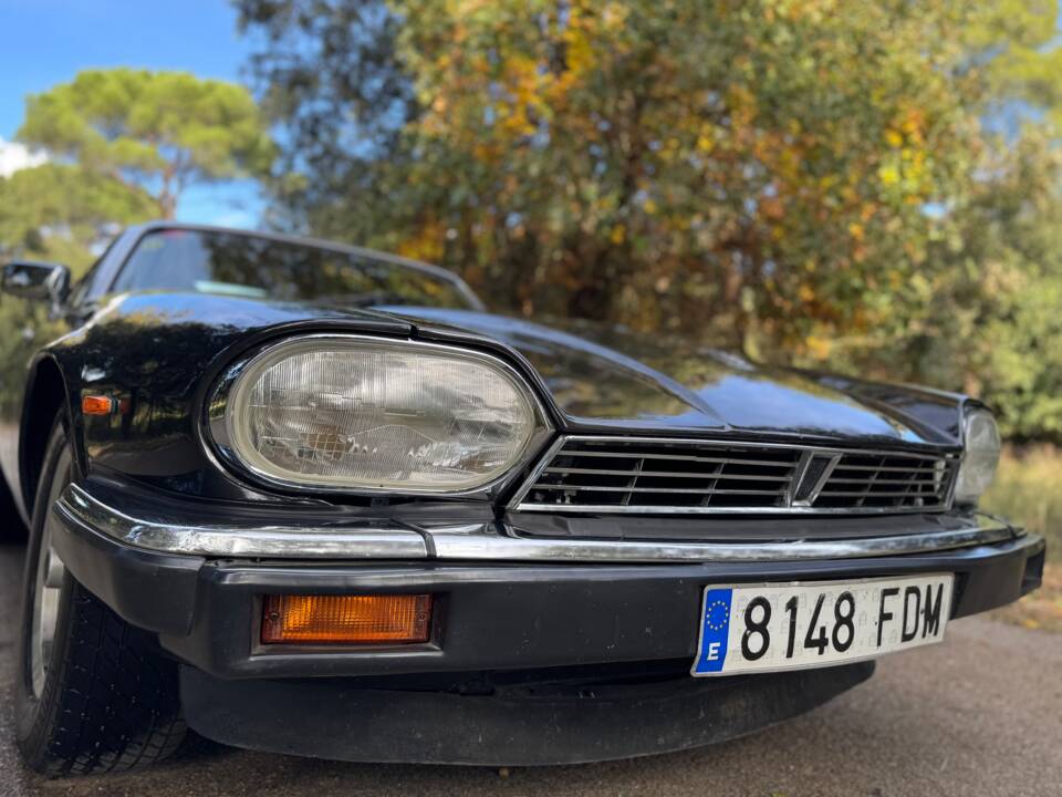 Image 6/47 of Jaguar XJ-S 3.6 (1988)