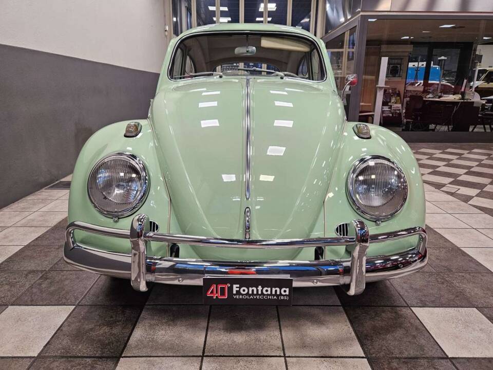 Immagine 2/19 di Volkswagen Maggiolino 1200 A (1964)