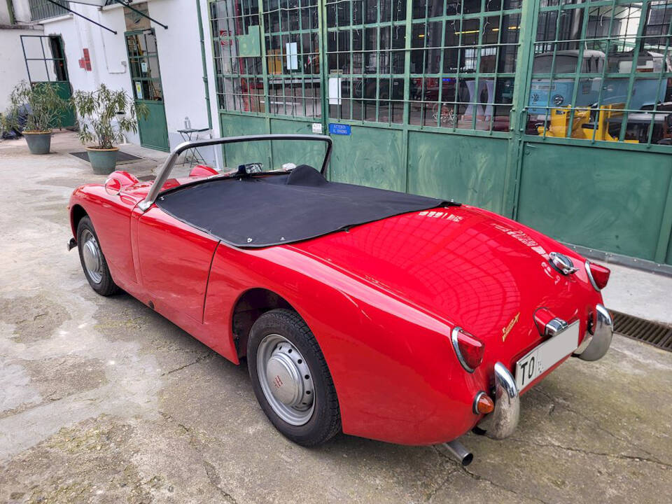 Image 40/51 of Austin-Healey Sprite Mk I (1960)