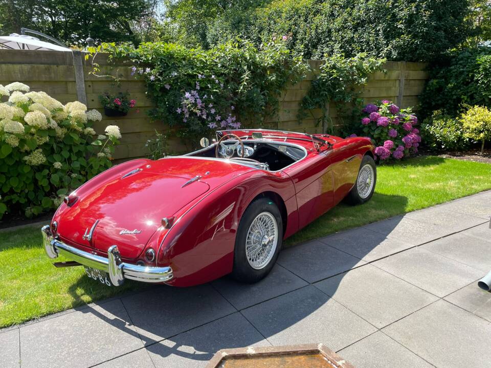 Image 22/56 of Austin-Healey 100&#x2F;4 (BN1) (1955)