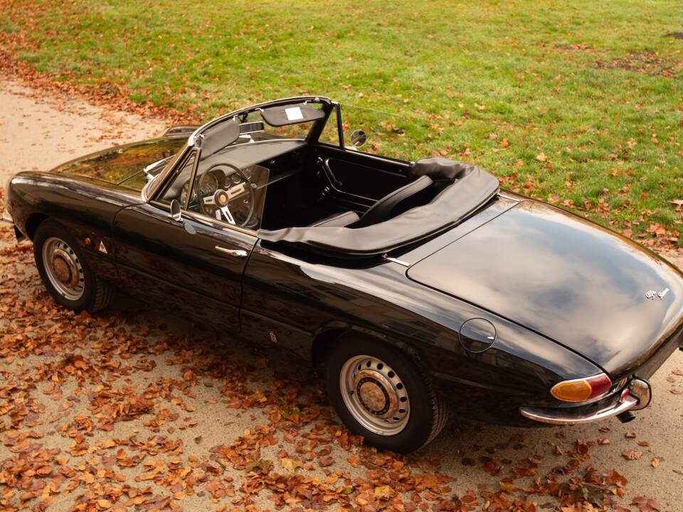 Image 36/51 of Alfa Romeo 1600 Spider Duetto (1966)