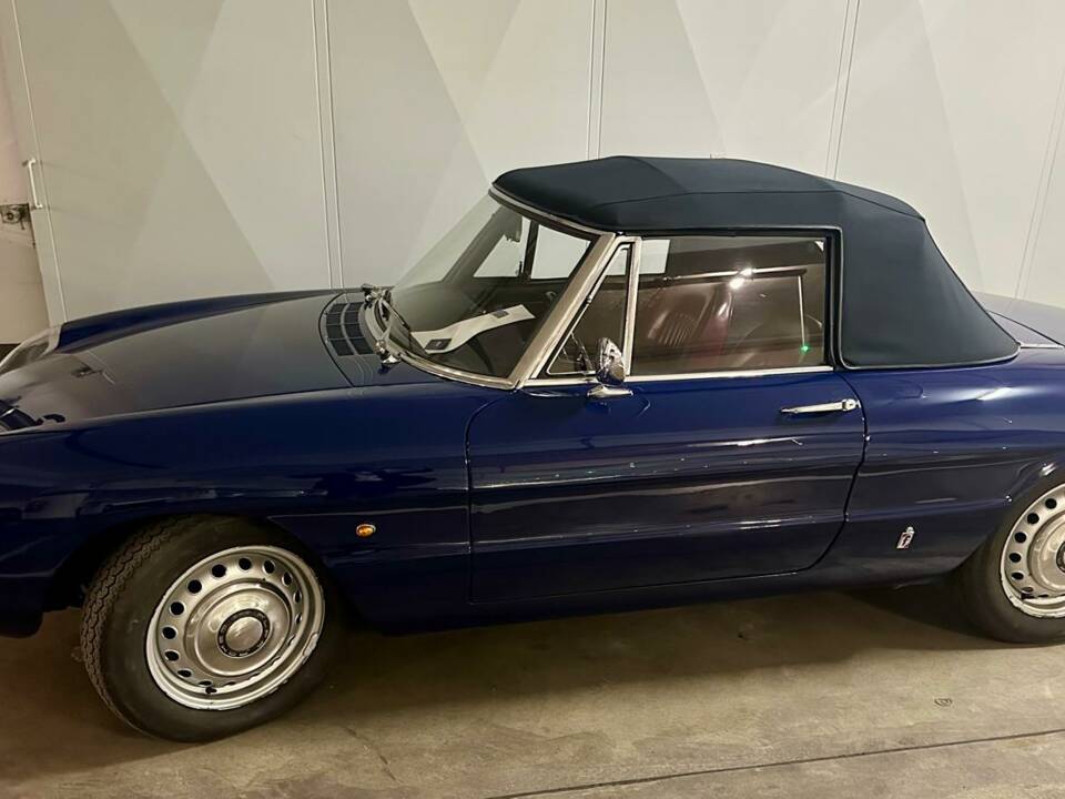 Image 5/5 of Alfa Romeo 1600 Spider Duetto (1966)