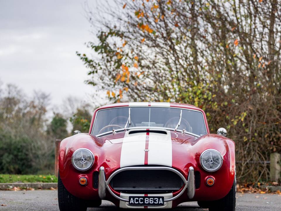 Afbeelding 7/50 van AC Cobra 289 (2000)