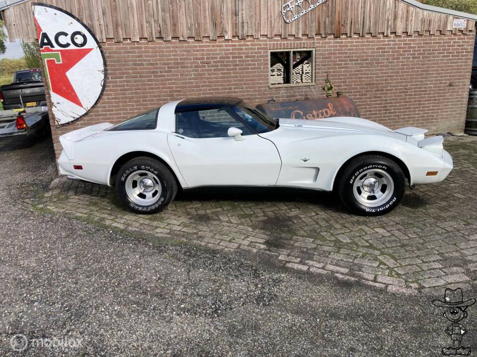 Afbeelding 3/50 van Chevrolet Corvette Sting Ray (1979)
