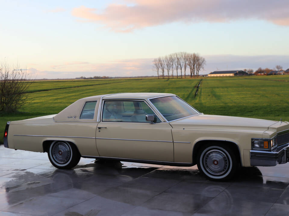 Bild 30/50 von Cadillac Coupe DeVille (1977)