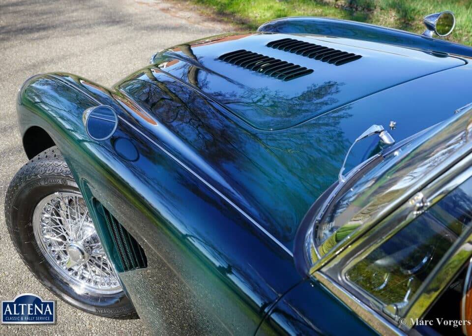 Immagine 12/44 di Austin-Healey 3000 Mk III (BJ8) (1965)