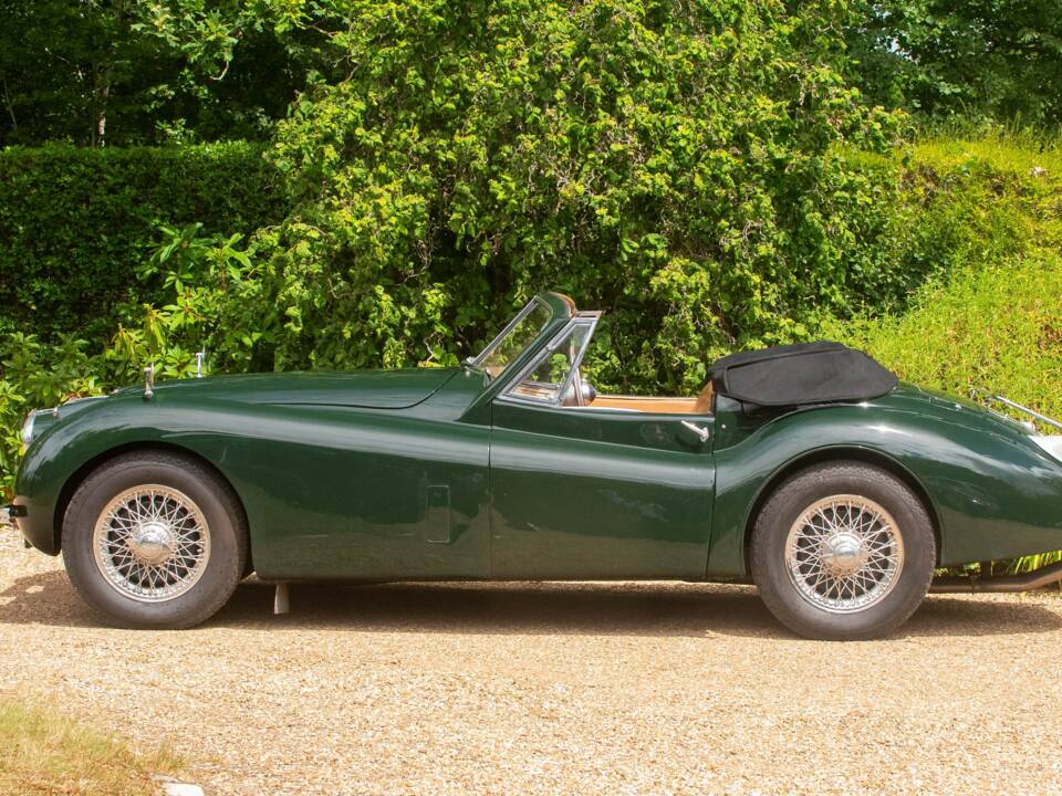 Bild 2/50 von Jaguar XK 120 DHC (1954)