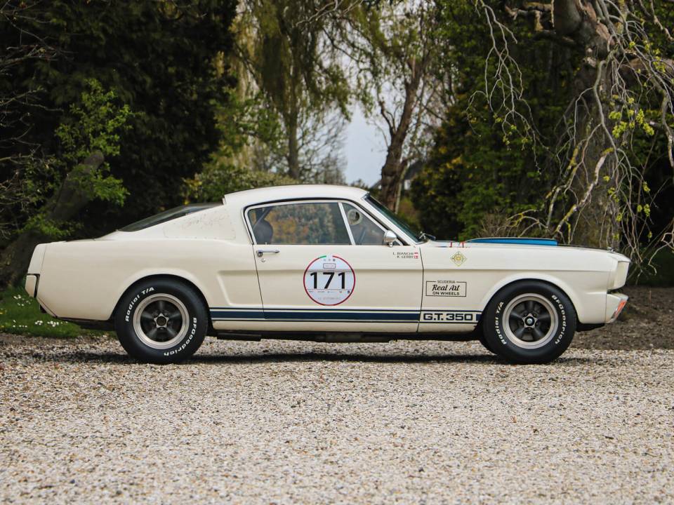 Image 7/31 of Ford Shelby GT 350 (1965)