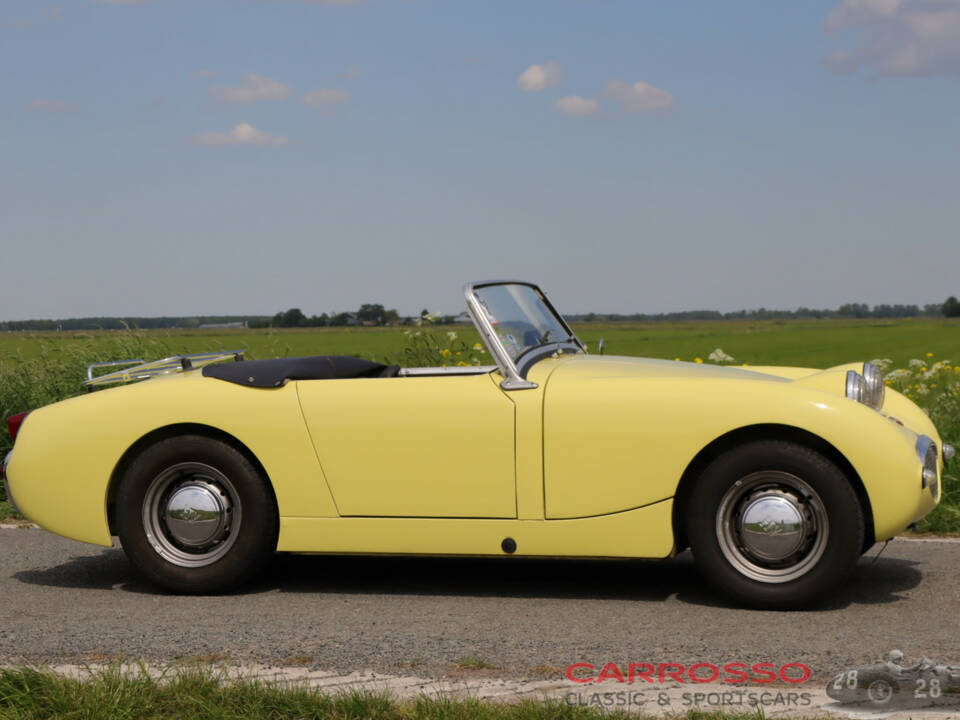 Immagine 4/44 di Austin-Healey Sprite Mk I (1959)