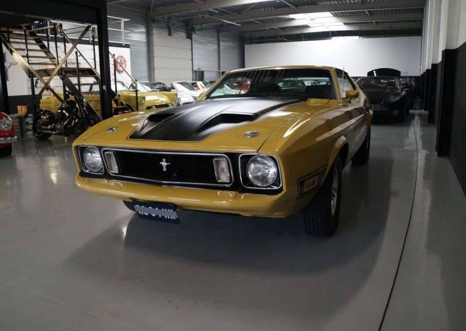 Image 29/50 de Ford Mustang Mach 1 (1973)