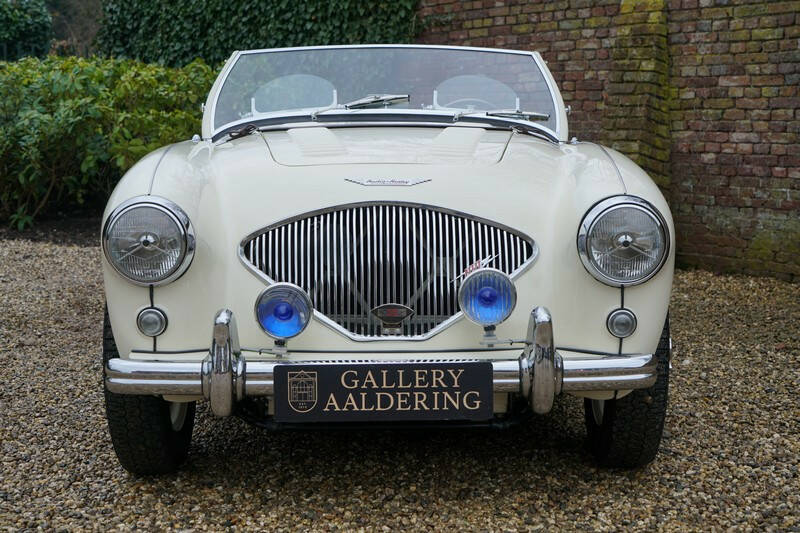 Bild 5/50 von Austin-Healey 100&#x2F;4 (BN1) (1955)