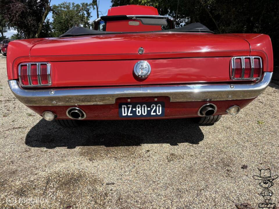 Bild 7/50 von Ford Mustang 289 (1966)