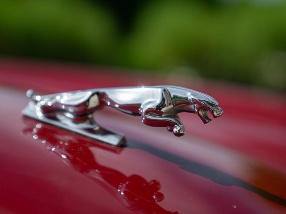 Image 21/50 of Jaguar XJ 6 4.2 (1981)