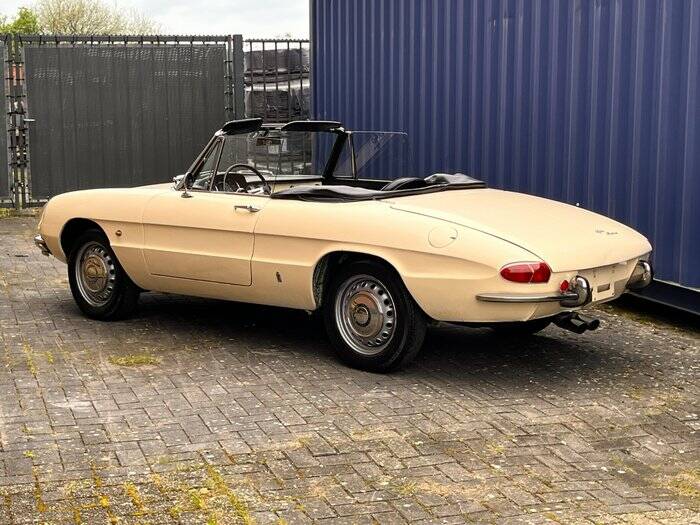 Afbeelding 2/7 van Alfa Romeo 1600 Spider Duetto (1967)