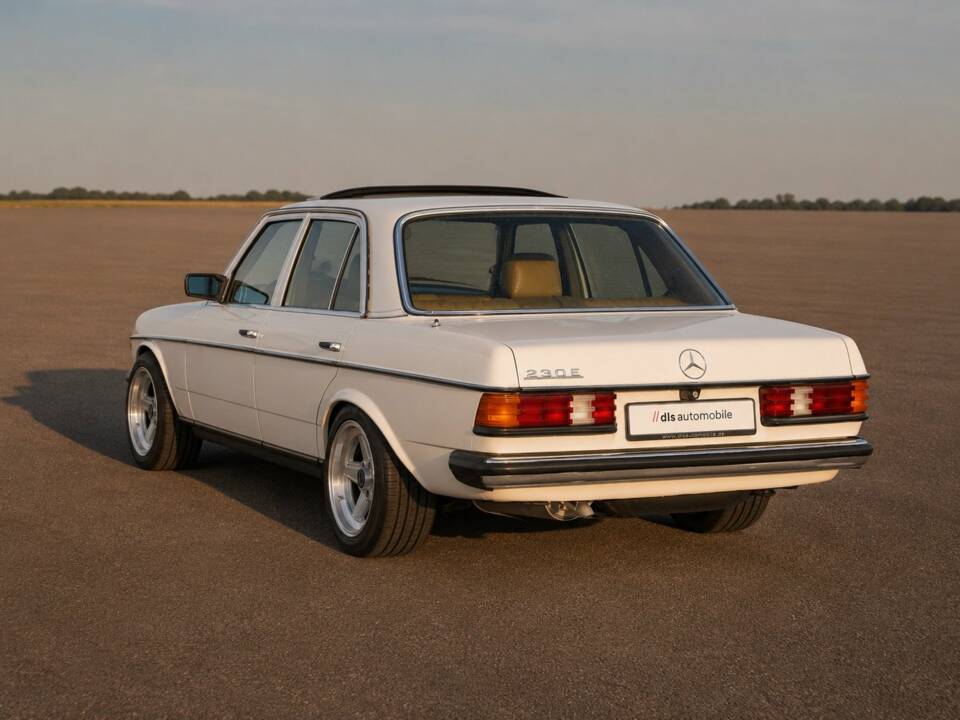 Immagine 8/50 di Mercedes-Benz 230 E (1900)