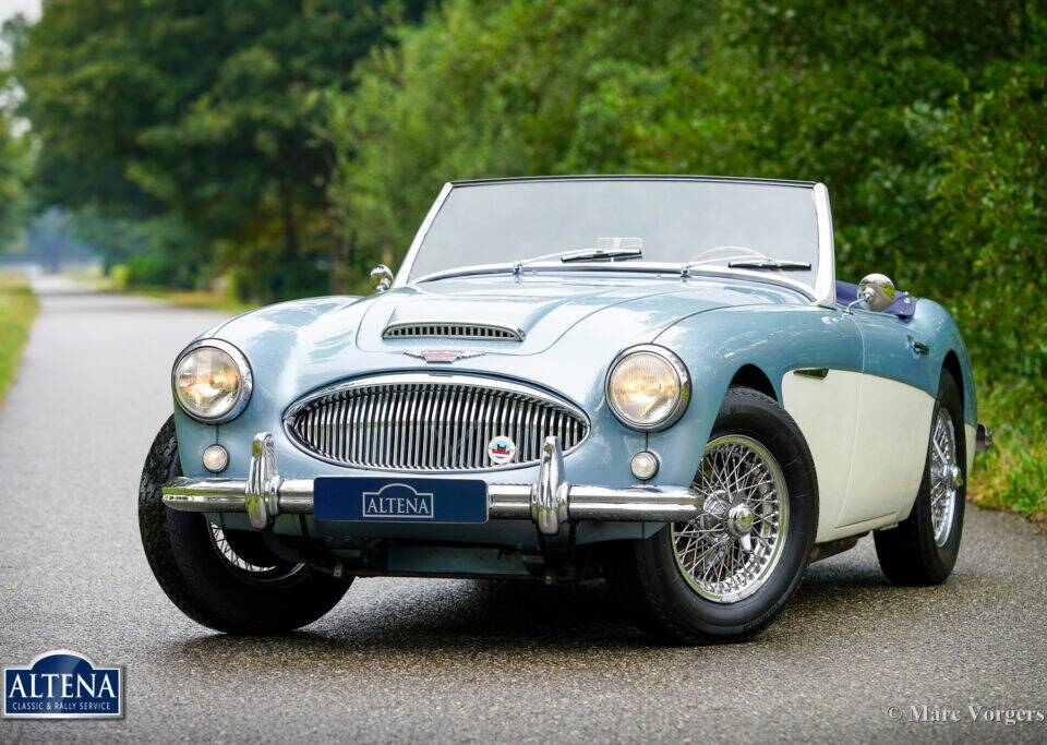 Immagine 7/44 di Austin-Healey 3000 Mk II (BN7) (1962)