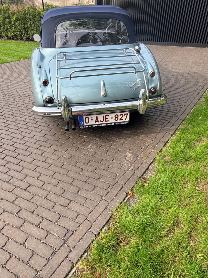 Afbeelding 8/21 van Austin-Healey 3000 Mk II (BJ7) (1963)