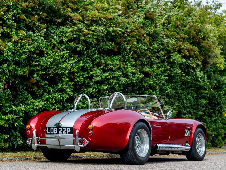 Bild 27/50 von Dax Cobra (1976)