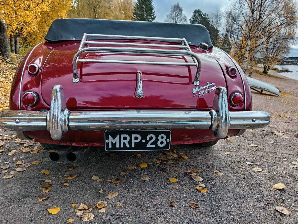 Immagine 5/23 di Austin-Healey 3000 Mk II (BJ7) (1964)