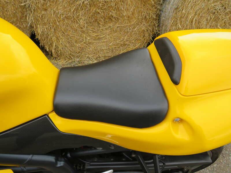 Image 16/40 of Triumph DUMMY (2006)