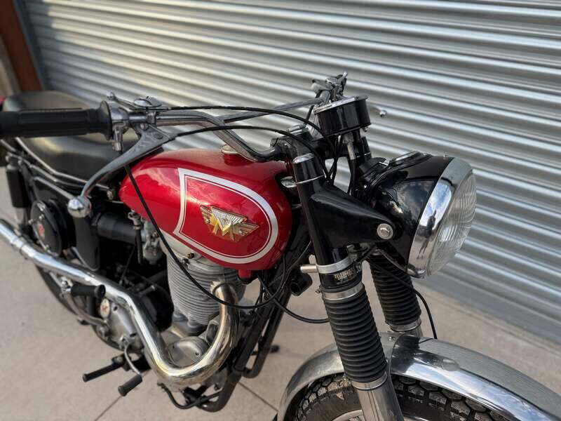 Bild 5/39 von Matchless G 80 CS (1968)