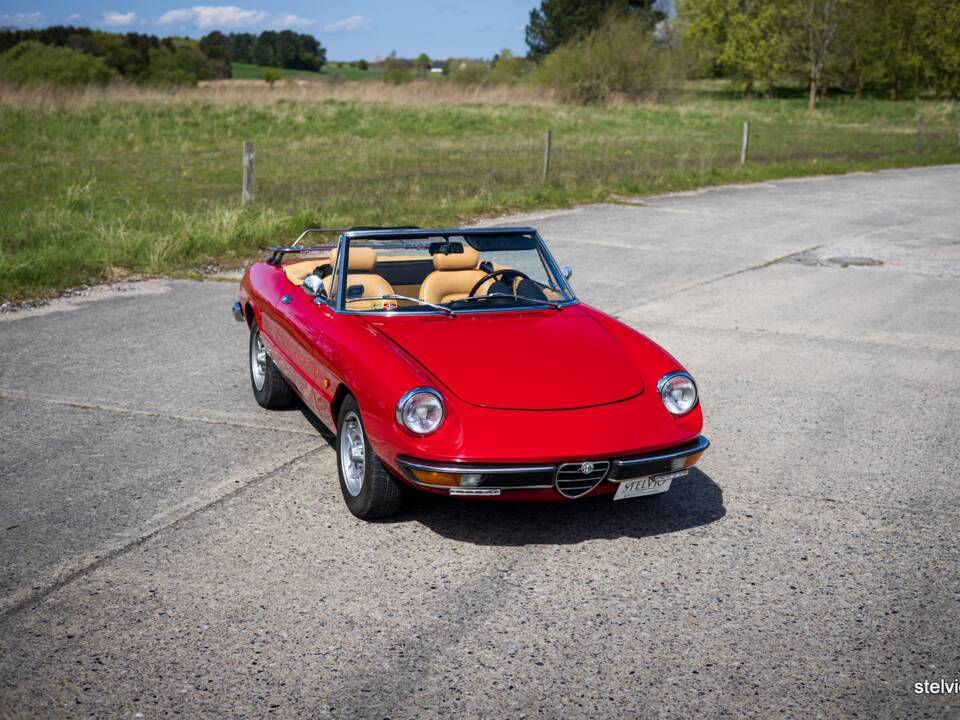 Afbeelding 9/42 van Alfa Romeo 2000 Spider Veloce (1980)