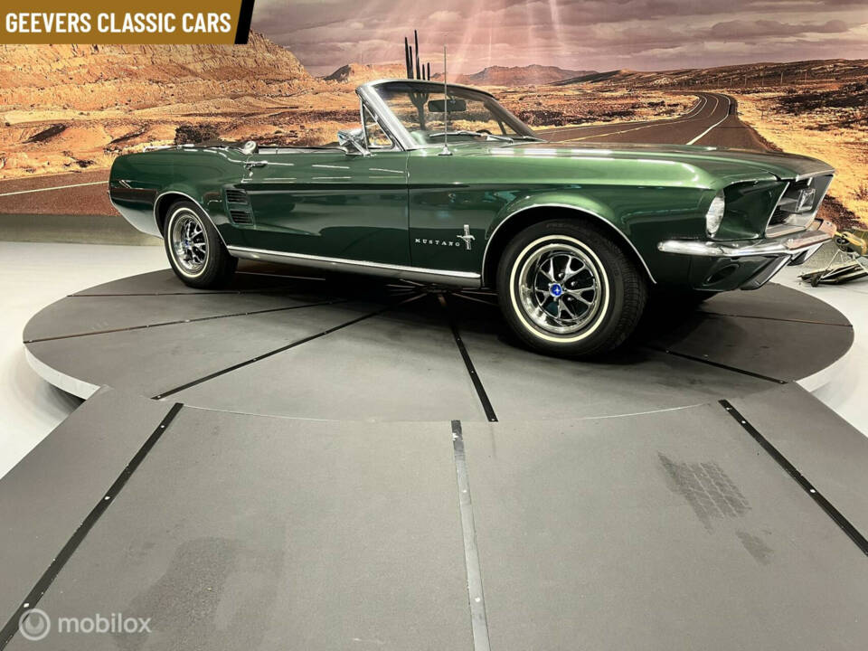 Immagine 11/11 di Ford Mustang 289 (1967)