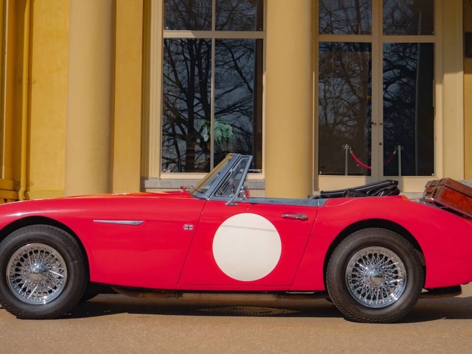 Afbeelding 9/52 van Austin-Healey 3000 Mk III (BJ8) (1965)