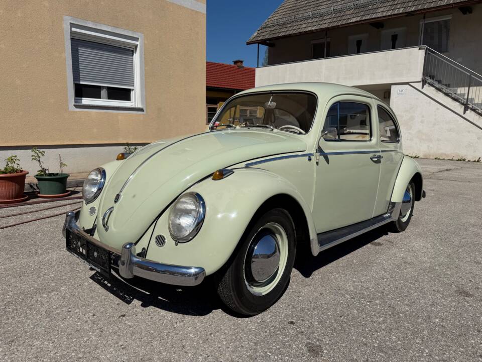 Image 1/25 de Volkswagen Coccinelle 1200 Export "Dickholmer" (1960)