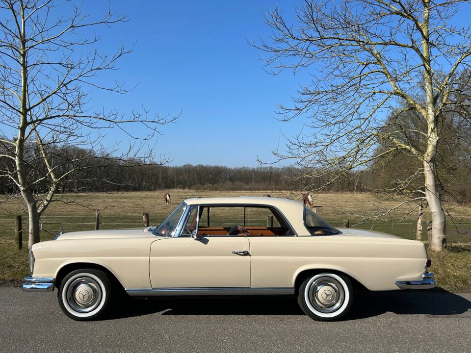 Afbeelding 4/11 van Mercedes-Benz 250 SE (1966)