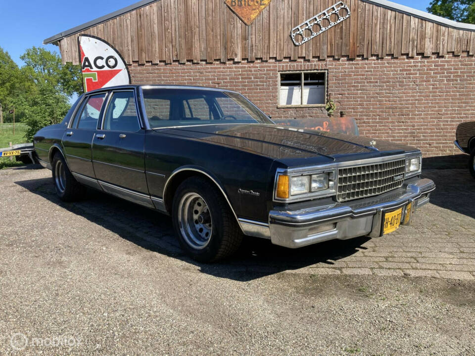 Bild 33/44 von Chevrolet Caprice Classic (1980)
