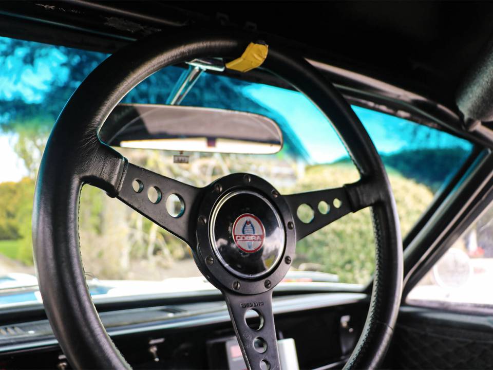 Bild 19/31 von Ford Shelby GT 350 (1965)