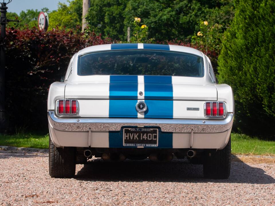 Bild 16/50 von Ford Shelby GT 350 (1965)