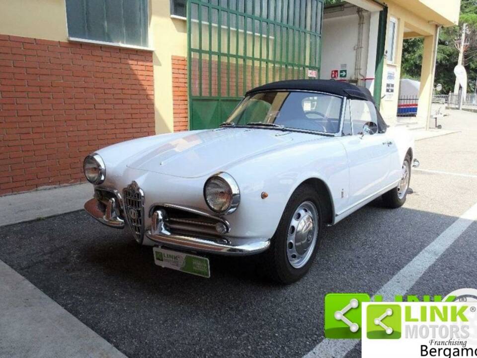 Bild 3/10 von Alfa Romeo Giulietta Spider (1960)