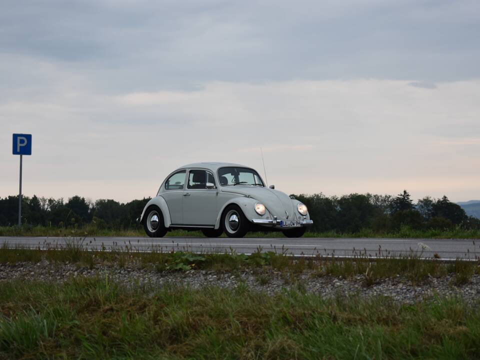 Bild 39/56 von Volkswagen Käfer 1300 (1968)