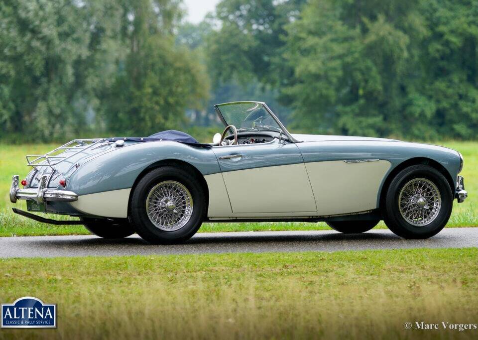 Immagine 12/44 di Austin-Healey 3000 Mk II (BN7) (1962)