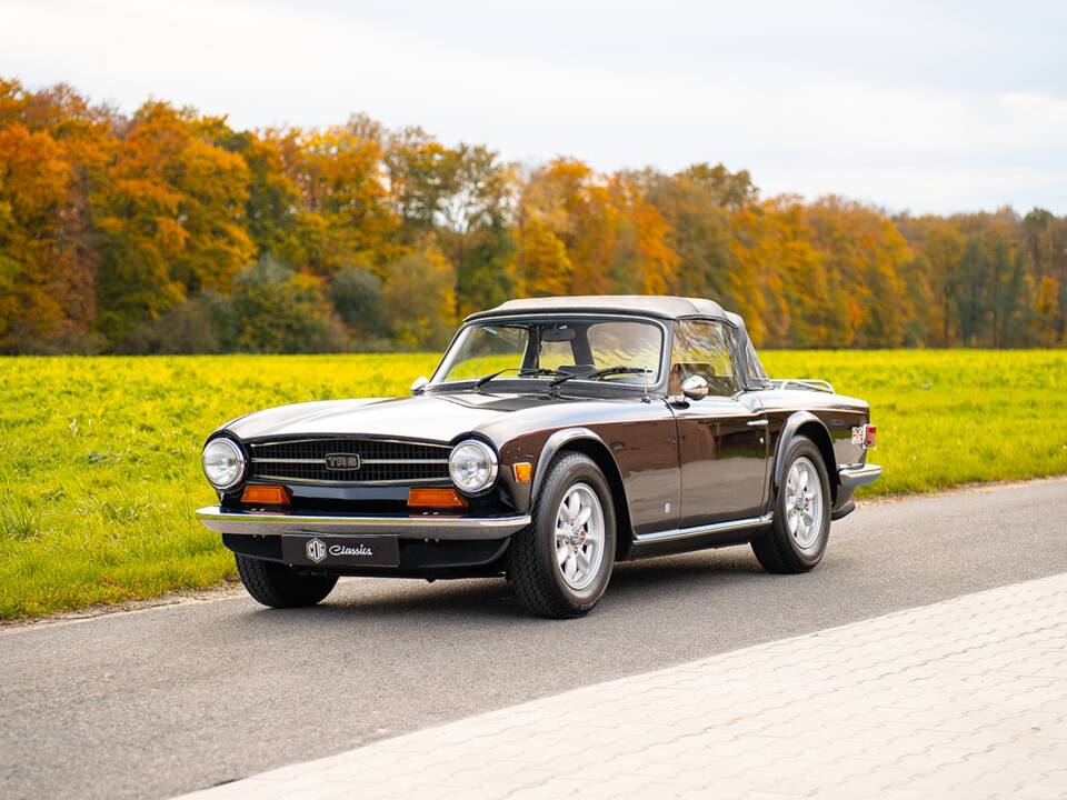 Immagine 2/36 di Triumph TR 6 (1974)