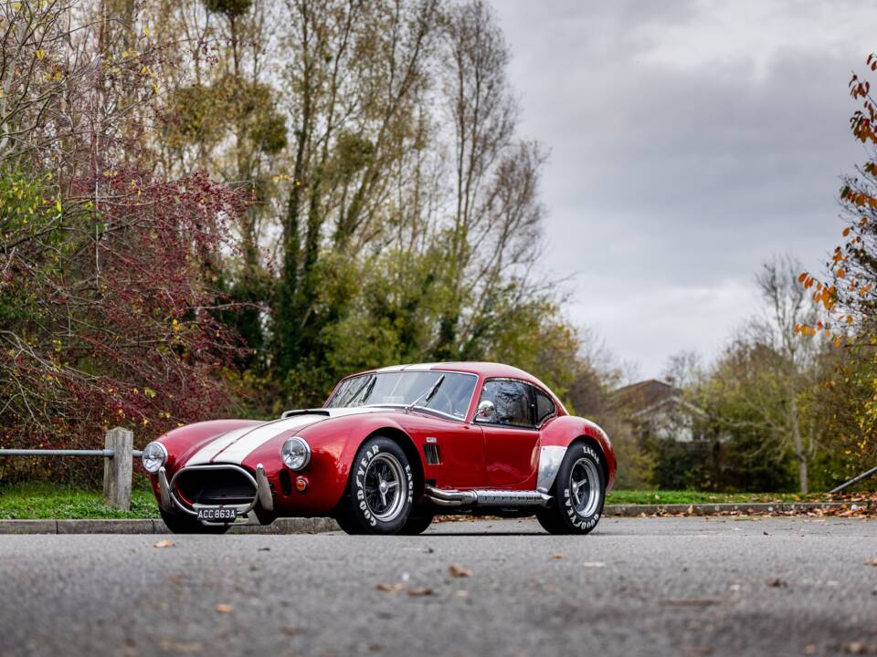 Afbeelding 24/50 van AC Cobra 289 (2000)