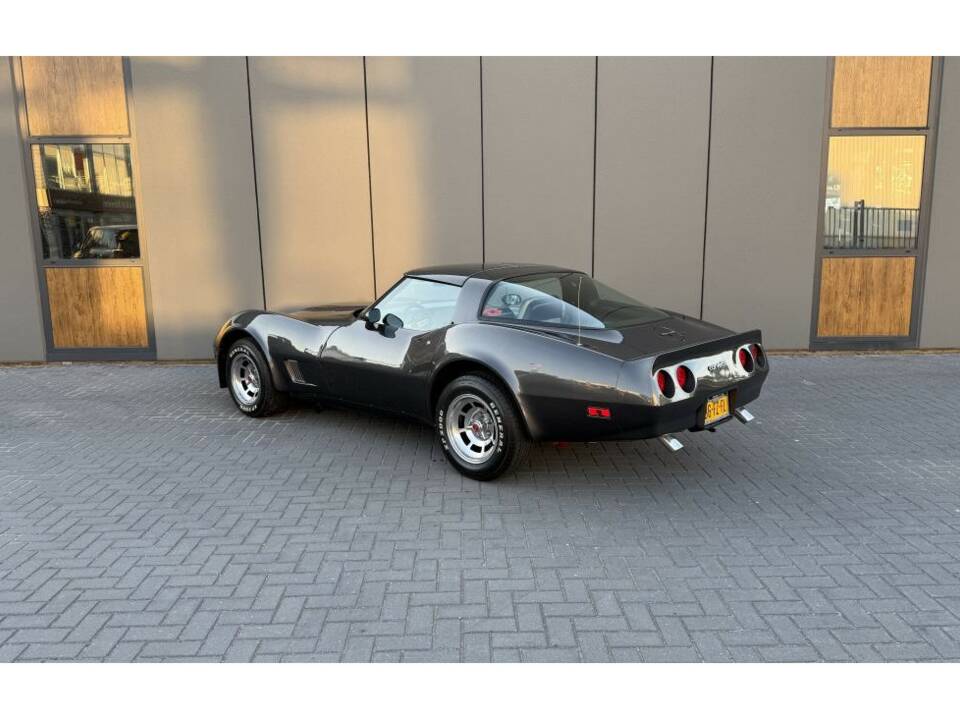 Bild 5/14 von Chevrolet Corvette Sting Ray (1981)