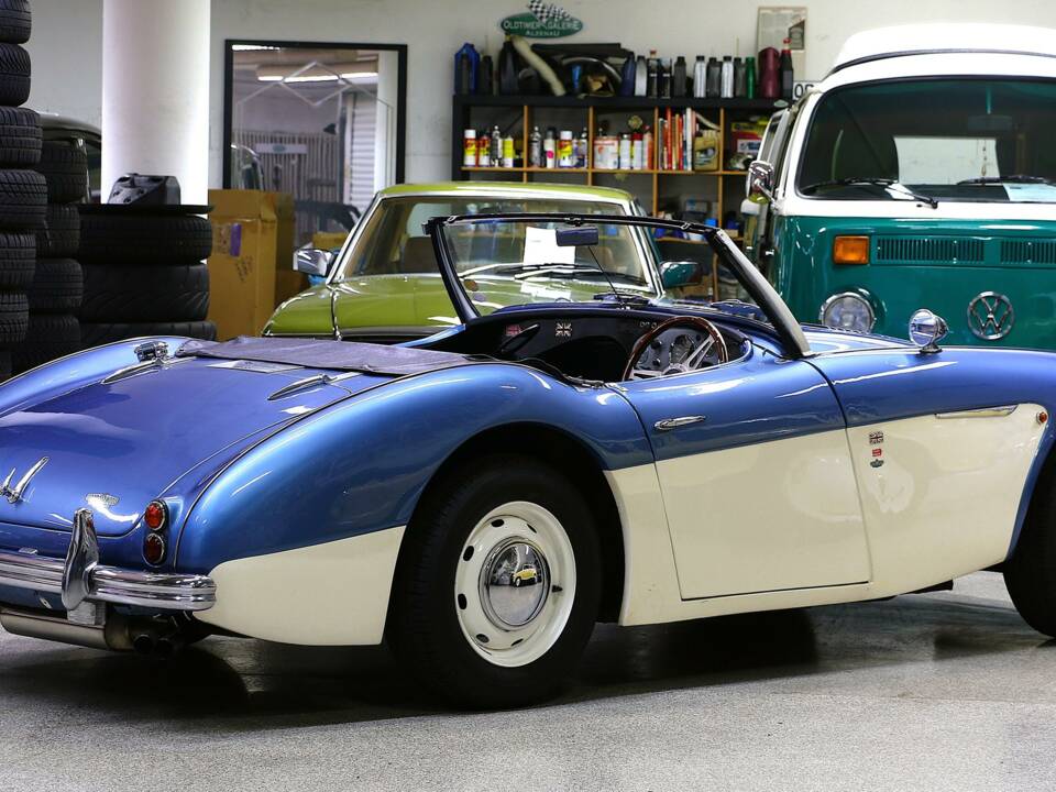 Immagine 7/28 di Austin-Healey 100/4 (BN1) (1955)