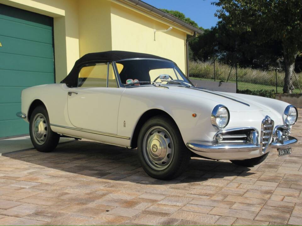 Bild 9/30 von Alfa Romeo Giulietta Spider (1961)