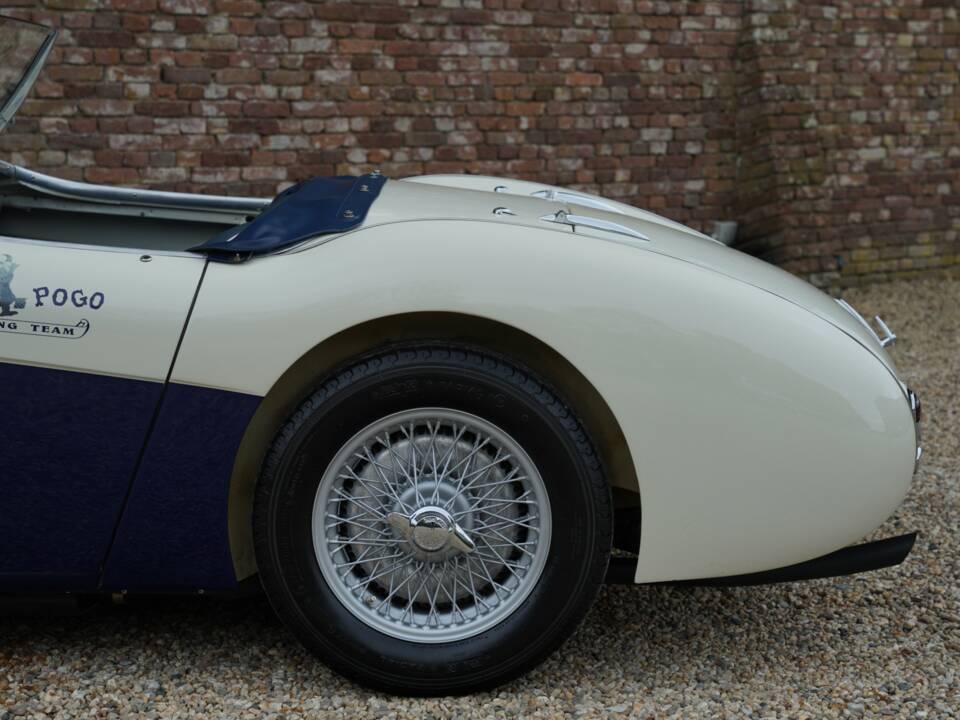 Image 15/50 de Austin-Healey 100/4 (BN1) (1953)